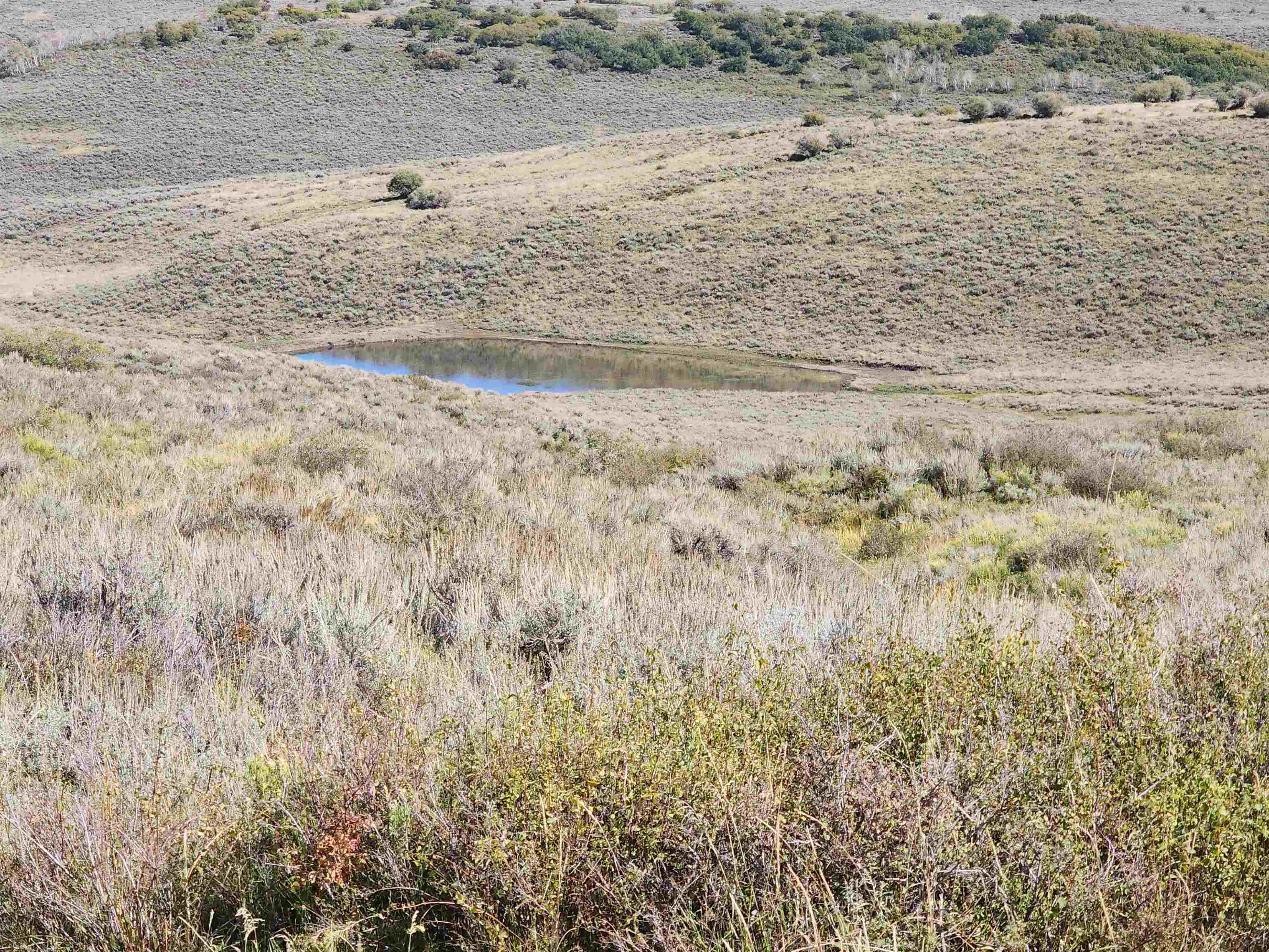 Tbd Divide Road, Unit MONT'S DRAW Whitewater, CO 81527 - Photo 2 of 7