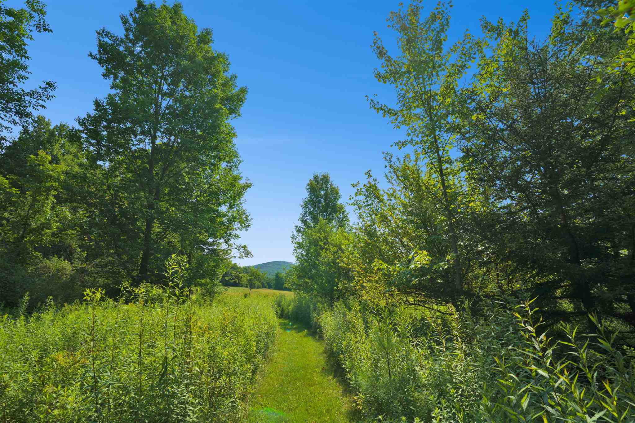 491 Perry Lea Road Waterbury, VT 05676 - Photo 13 of 38