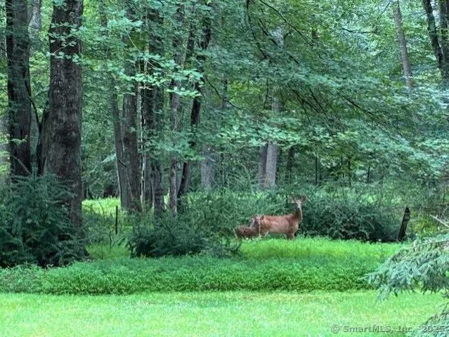 $3,000 | 529 North Madison Road, Guilford, CT 06437