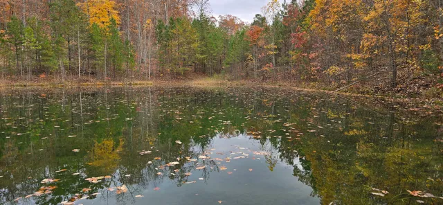 $250,000 | 0 Bob Cat Trail, Dunlap, TN 37327