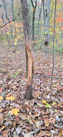 $250,000 | 0 Bob Cat Trail, Dunlap, TN 37327