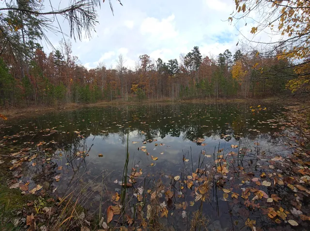 $250,000 | 0 Bob Cat Trail, Dunlap, TN 37327