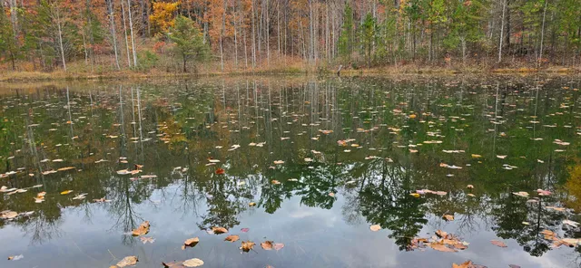 $250,000 | 0 Bob Cat Trail, Dunlap, TN 37327