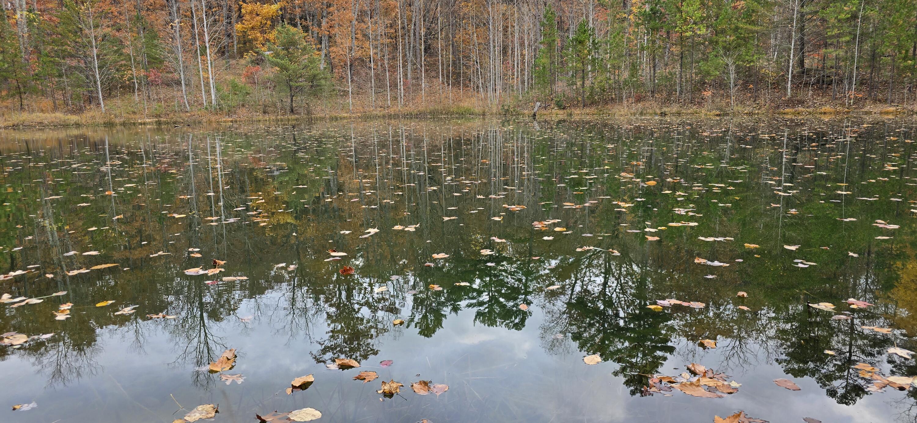 0 Bob Cat Trail Dunlap, TN 37327 - Photo 2 of 12 20251107_152234