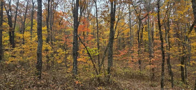 $250,000 | 0 Bob Cat Trail, Dunlap, TN 37327