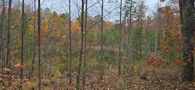 $250,000 | 0 Bob Cat Trail, Dunlap, TN 37327