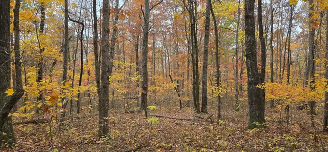 $250,000 | 0 Bob Cat Trail, Dunlap, TN 37327