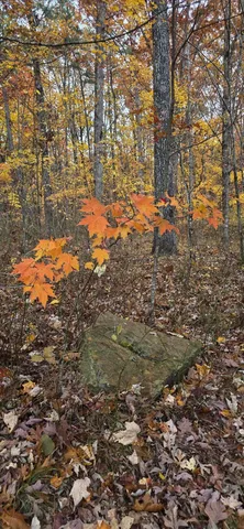 $250,000 | 0 Bob Cat Trail, Dunlap, TN 37327