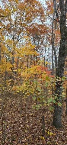 $250,000 | 0 Bob Cat Trail, Dunlap, TN 37327