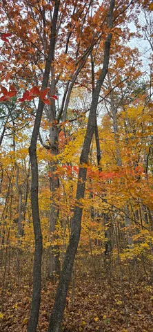 $250,000 | 0 Bob Cat Trail, Dunlap, TN 37327