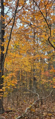 $250,000 | 0 Bob Cat Trail, Dunlap, TN 37327