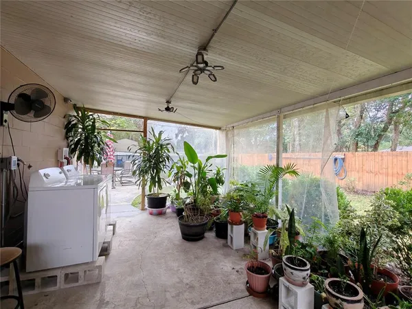 a room with a potted plant and a large window