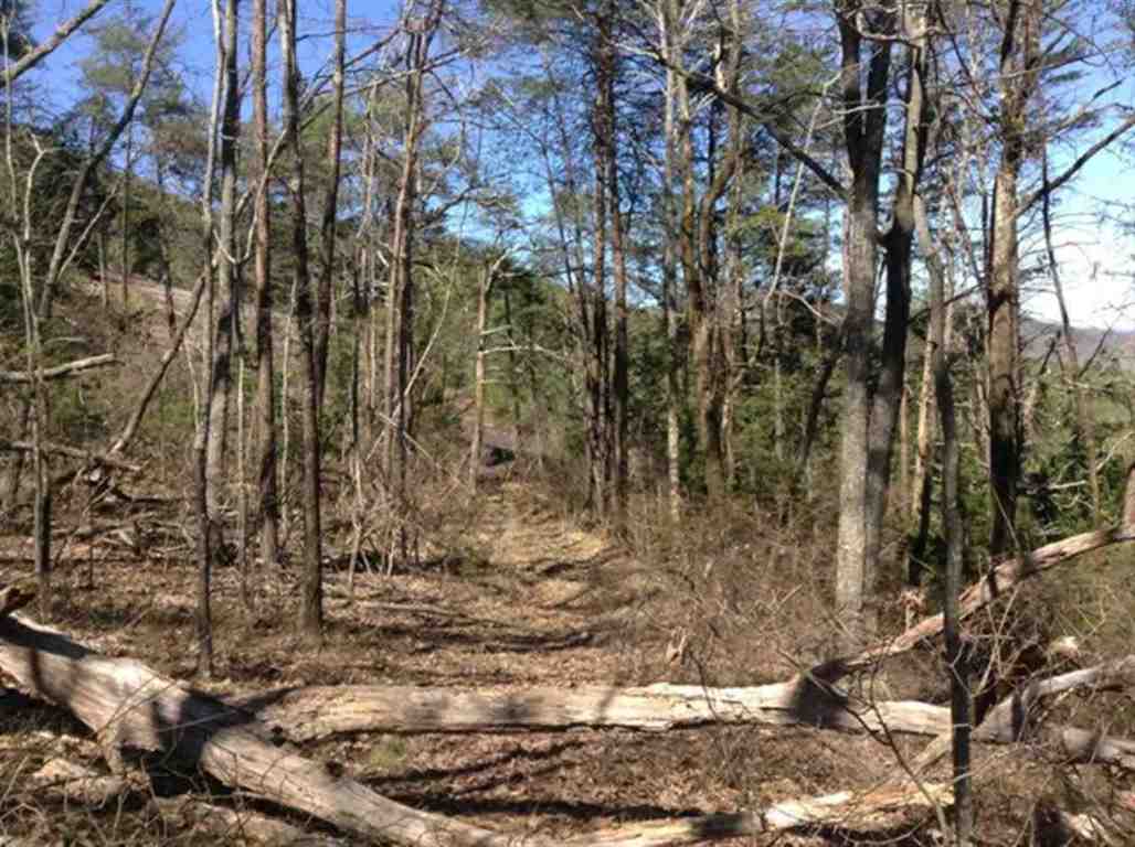 Lot 00 Upper Springs Road Pickens, SC 29671 - Photo 19 of 19