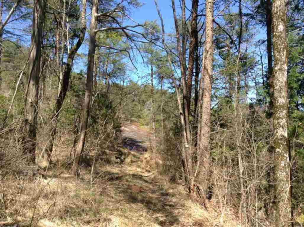 Lot 00 Upper Springs Road Pickens, SC 29671 - Photo 3 of 19