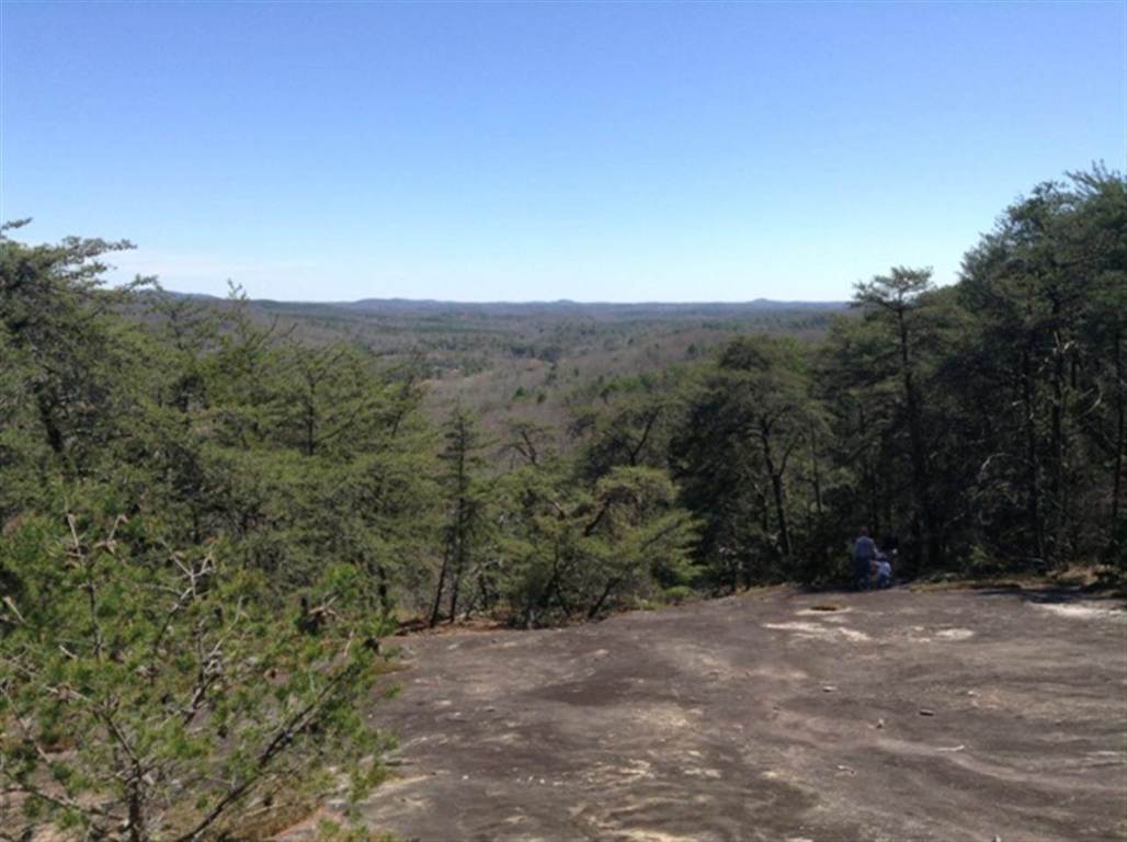 Lot 00 Upper Springs Road Pickens, SC 29671 - Photo 6 of 19
