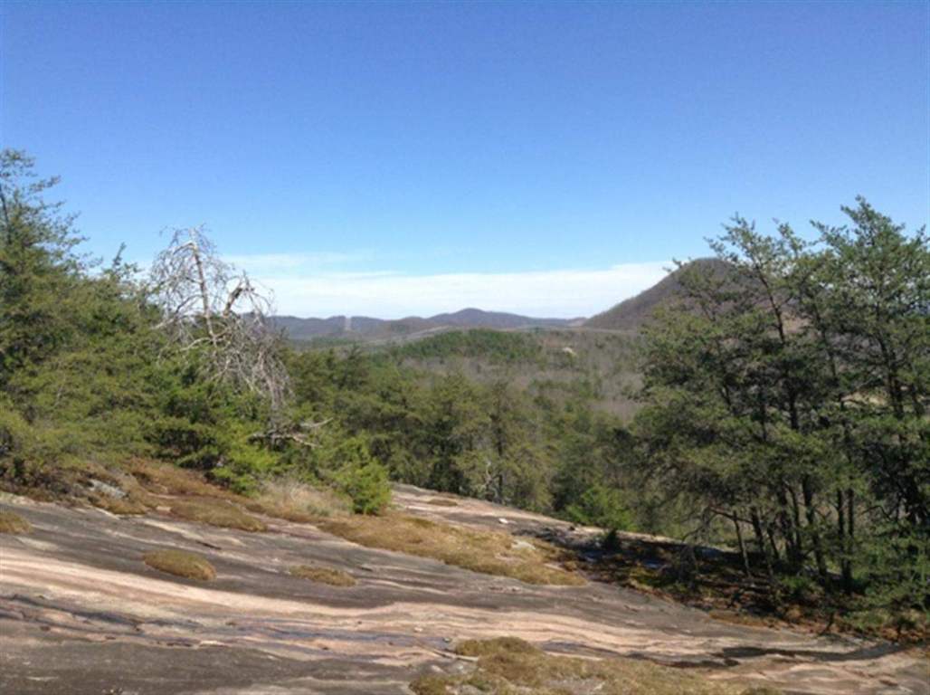 Lot 00 Upper Springs Road Pickens, SC 29671 - Photo 7 of 19