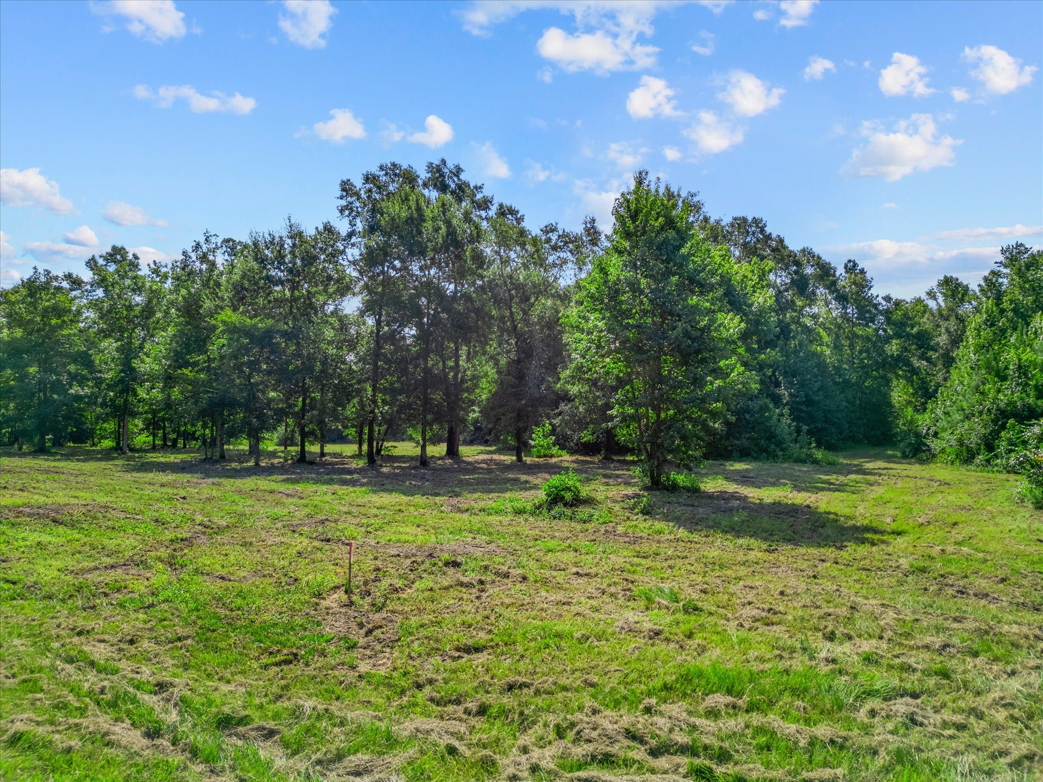 Tbd Felix Currie Road Point Blank, TX 77364 - Photo 8 of 46 Gallery Image 8