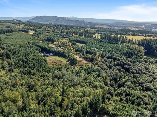 a view of a swimming pool with a garden