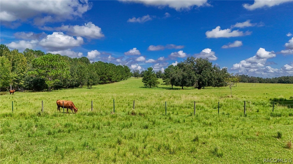 9759 South Pleasant Grove Road Inverness, FL 34452 - Photo 84 of 90 Gallery Image 84