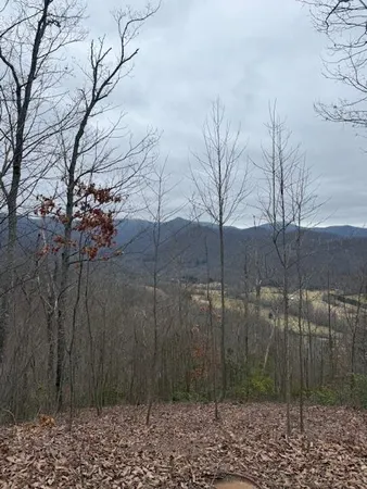 $119,000 | 0 Ethan Ridge, Hayesville, NC 28904