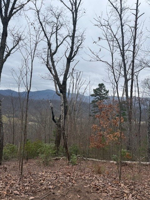 0 Ethan Ridge Hayesville, NC 28904 - Photo 2 of 6 a view of a backyard of the house