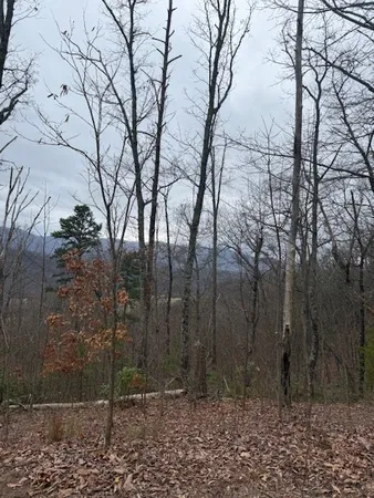 $119,000 | 0 Ethan Ridge, Hayesville, NC 28904