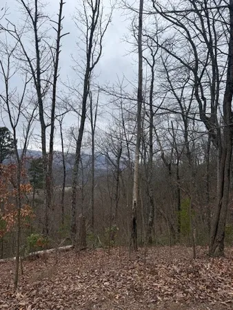 $119,000 | 0 Ethan Ridge, Hayesville, NC 28904