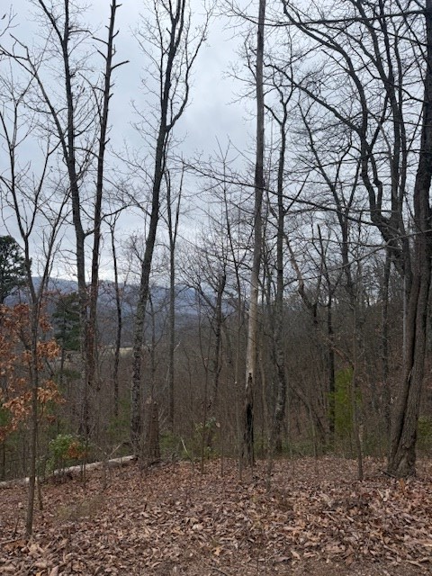 0 Ethan Ridge Hayesville, NC 28904 - Photo 4 of 6 a backyard of a house with lots of trees