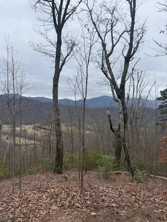$119,000 | 0 Ethan Ridge, Hayesville, NC 28904