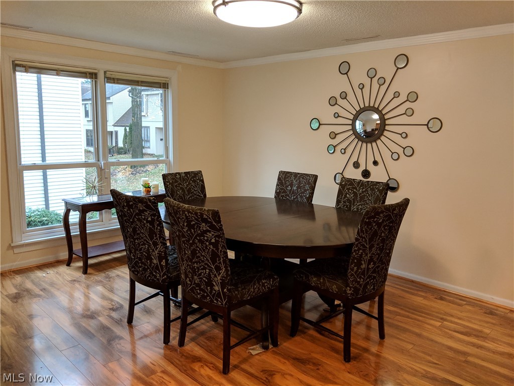 958 Som Center Road, Unit C3 Cleveland, OH 44143 - Photo 7 of 33 Dinning room with lots of eastern light