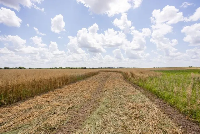 $450,300 | 2 90th Lane, Liberal, MO 64762