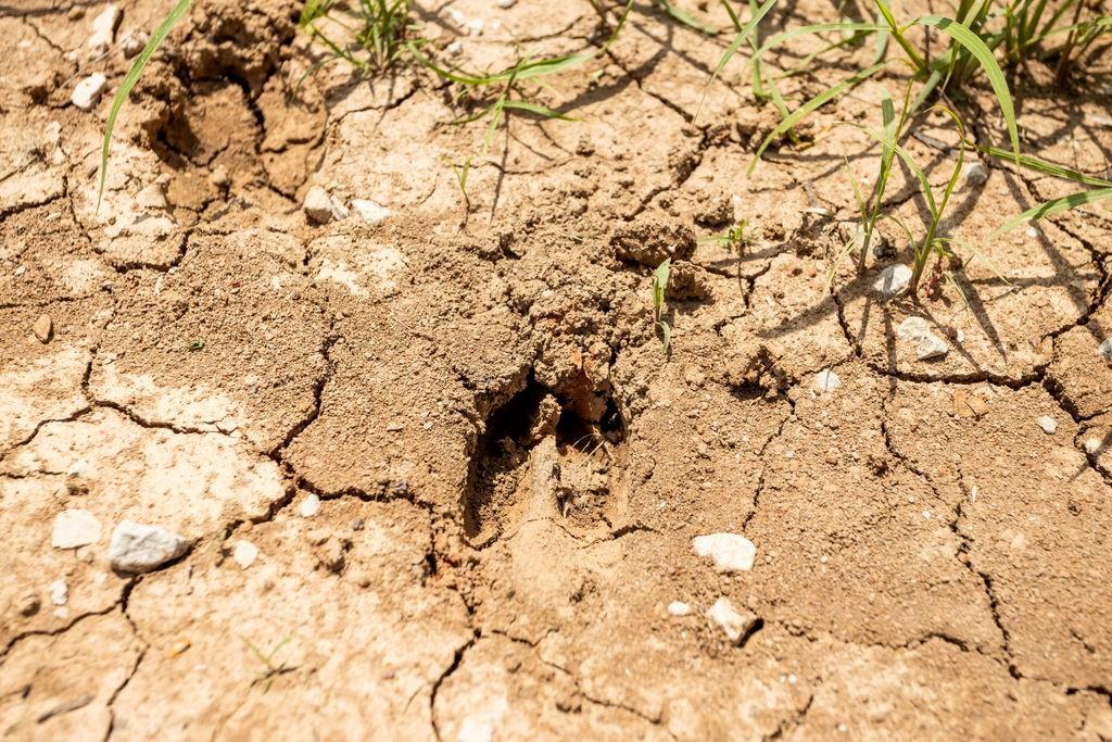 2 90th Lane Liberal, MO 64762 - Photo 5 of 21