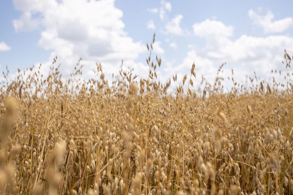 2 90th Lane Liberal, MO 64762 - Photo 6 of 21