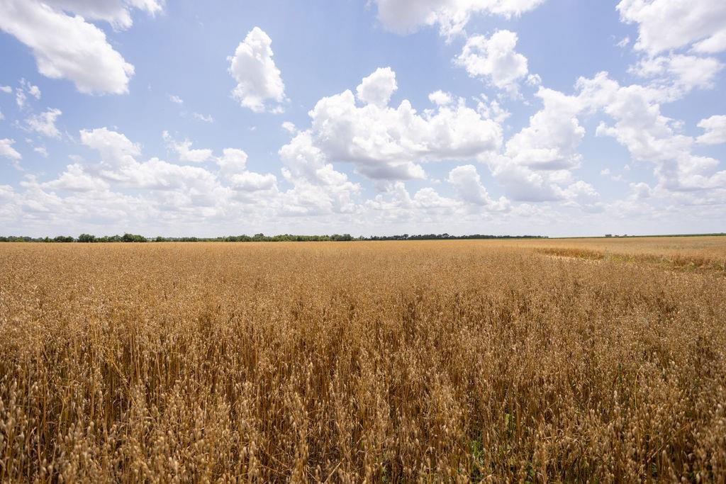 2 90th Lane Liberal, MO 64762 - Photo 7 of 21