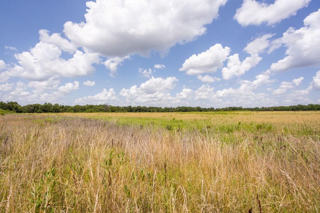 2 90th Lane Liberal, MO 64762 - Photo 8 of 21