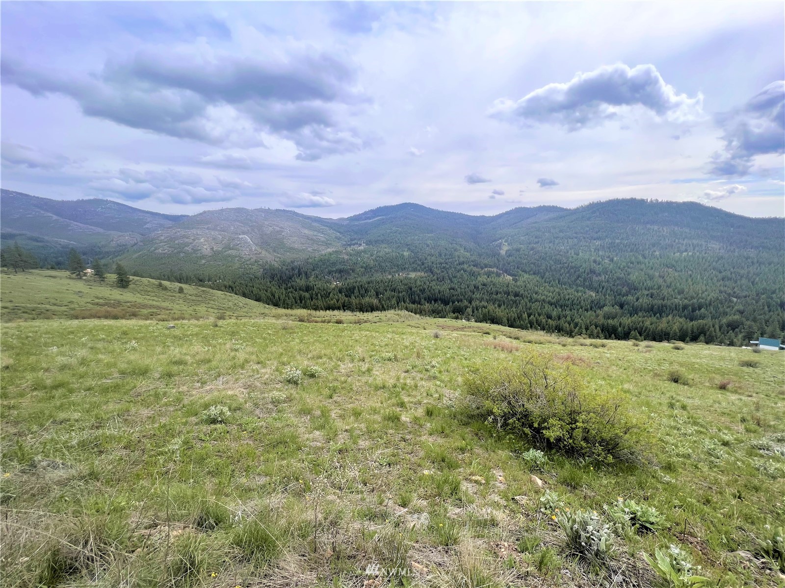 26 Lambert Mountain Road Republic, WA 99166 - Photo 1 of 16 Gallery Image 1