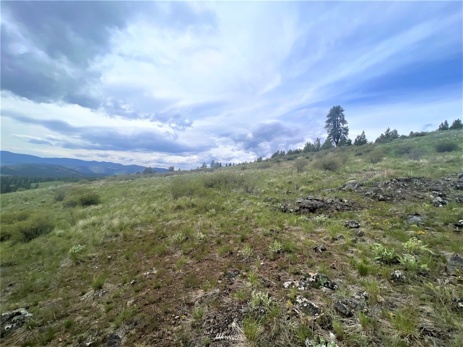 26 Lambert Mountain Road Republic, WA 99166 - Photo 13 of 16 Gallery Image 13