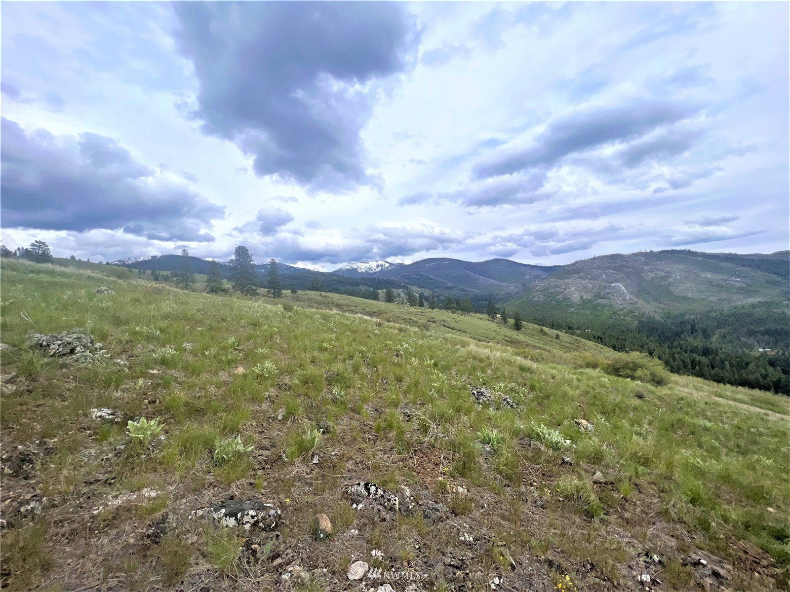 26 Lambert Mountain Road Republic, WA 99166 - Photo 15 of 16 Gallery Image 15