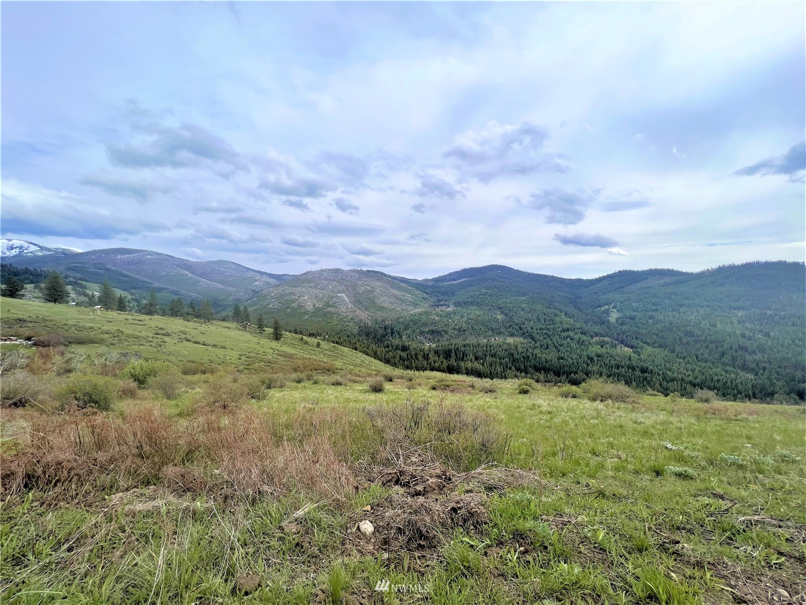 26 Lambert Mountain Road Republic, WA 99166 - Photo 2 of 16 Gallery Image 2
