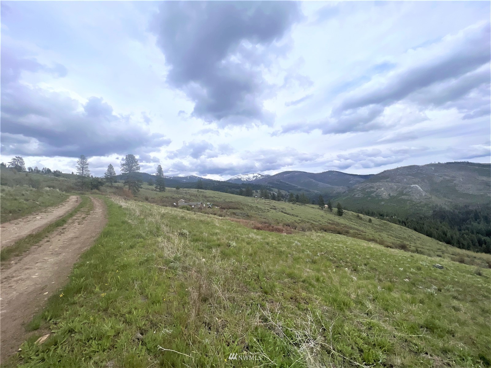 26 Lambert Mountain Road Republic, WA 99166 - Photo 5 of 16 Gallery Image 5