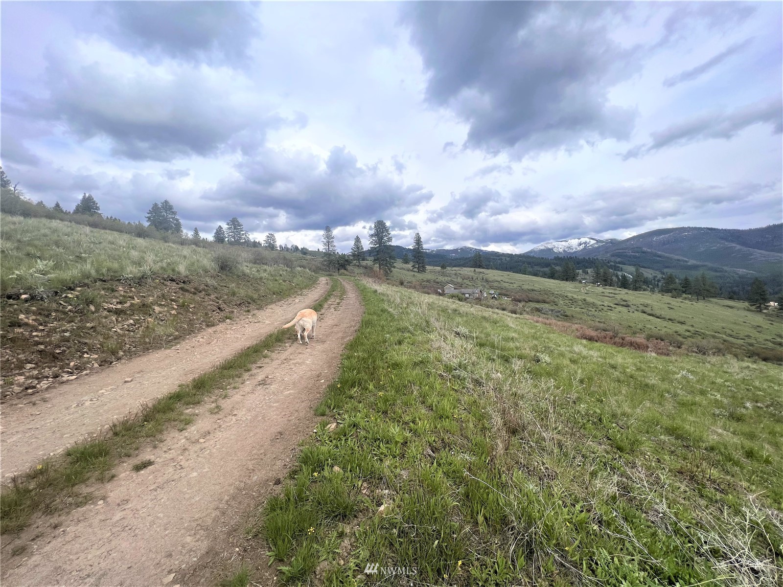 26 Lambert Mountain Road Republic, WA 99166 - Photo 6 of 16 Gallery Image 6