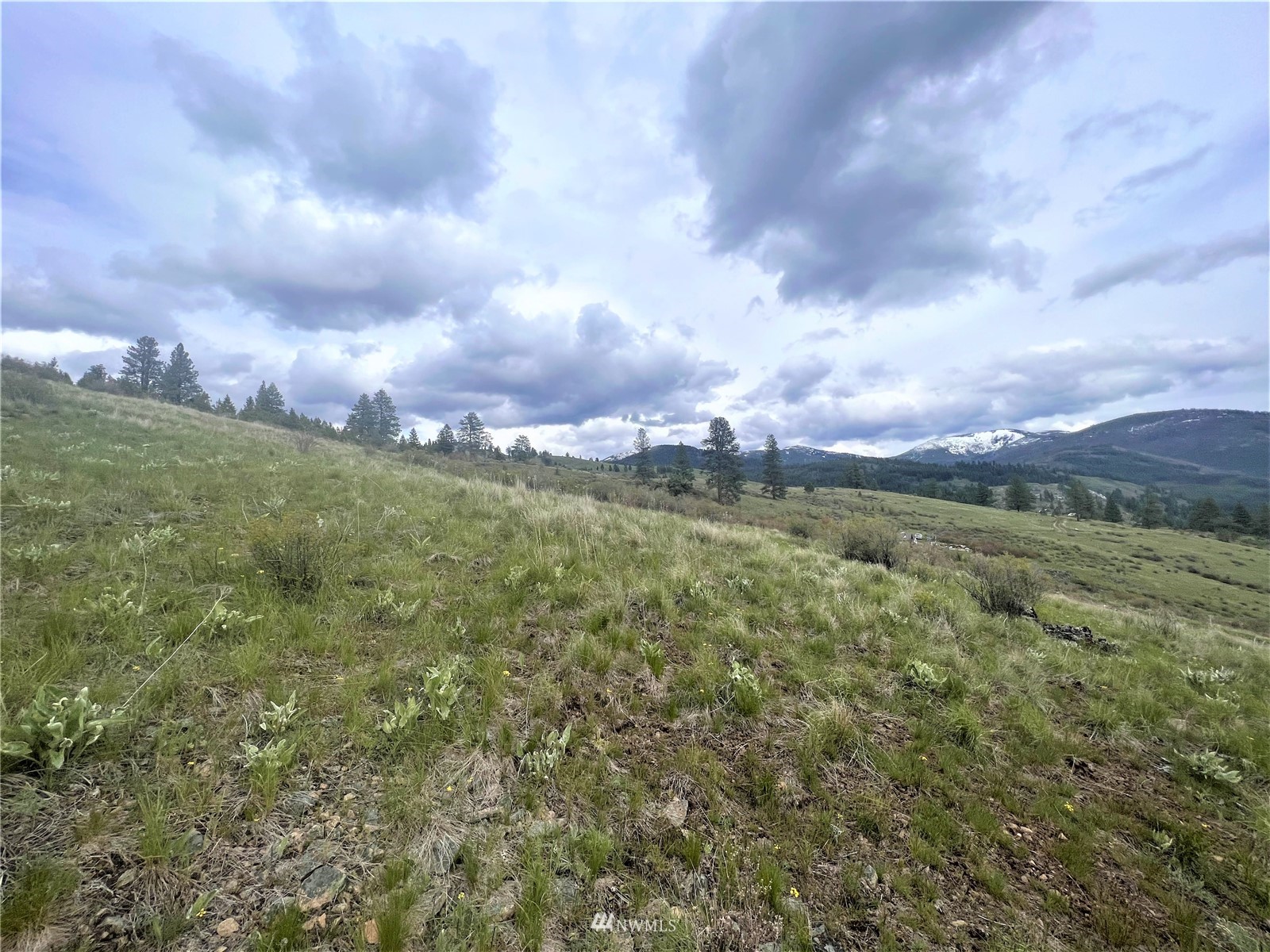 26 Lambert Mountain Road Republic, WA 99166 - Photo 10 of 16 Gallery Image 10