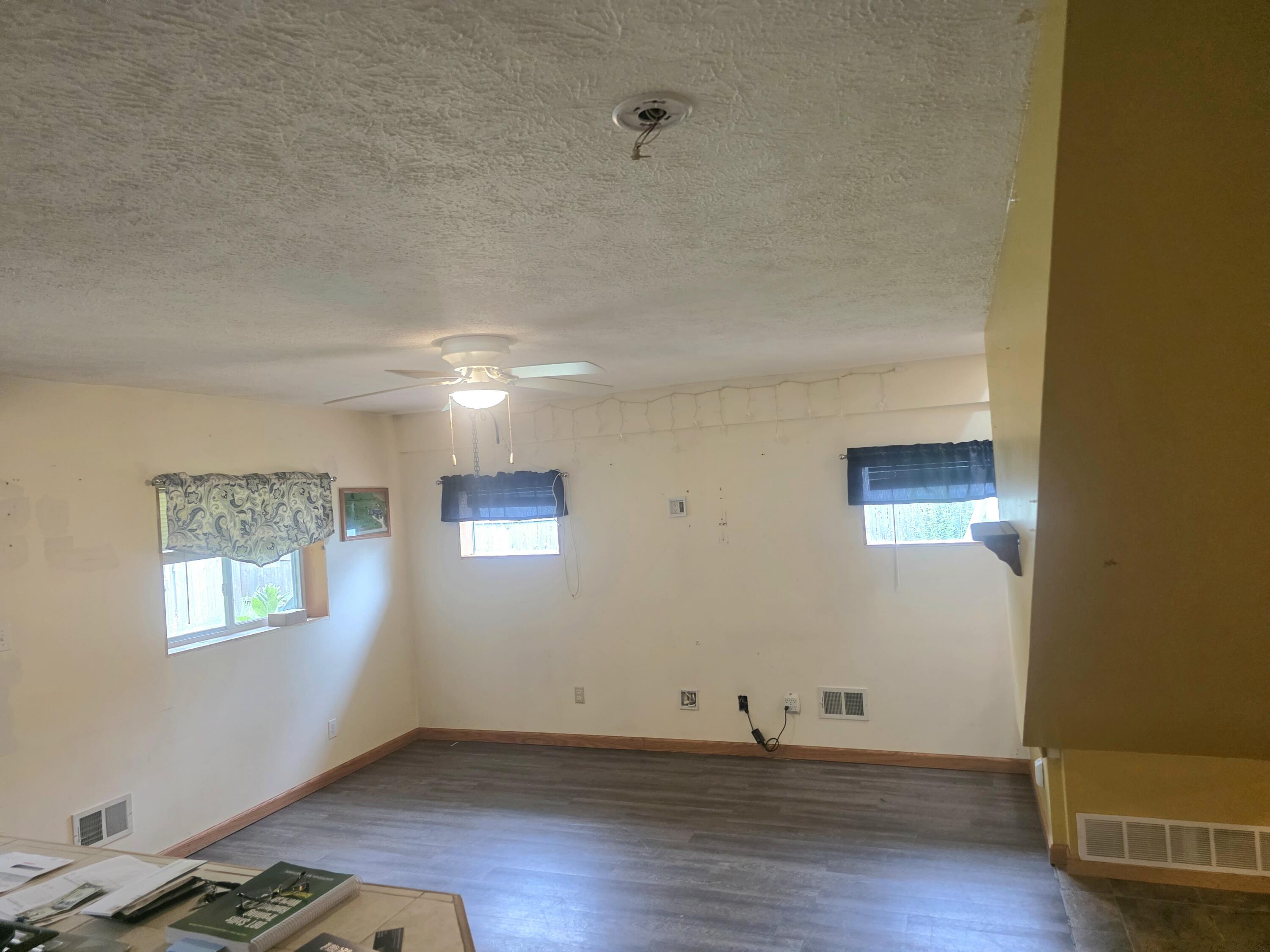 1402 Deaner Road Northeast Edmore, MI 48829 - Photo 12 of 17 Lower Living Room