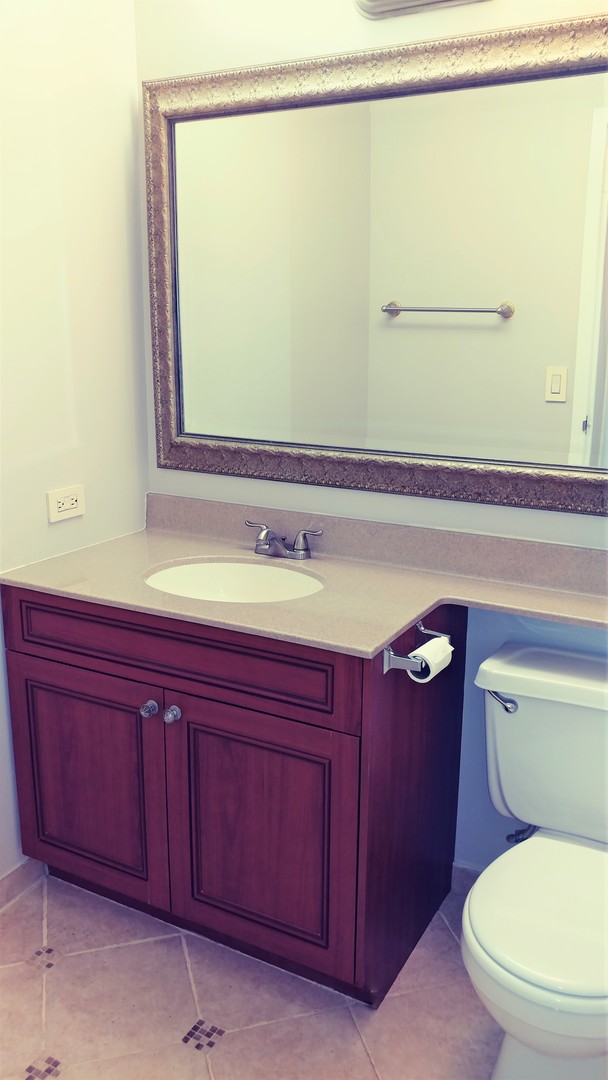 5320 North Sheridan Road, Unit 1207 Chicago, IL 60640 - Photo 16 of 20 a bathroom with a toilet a sink and a mirror