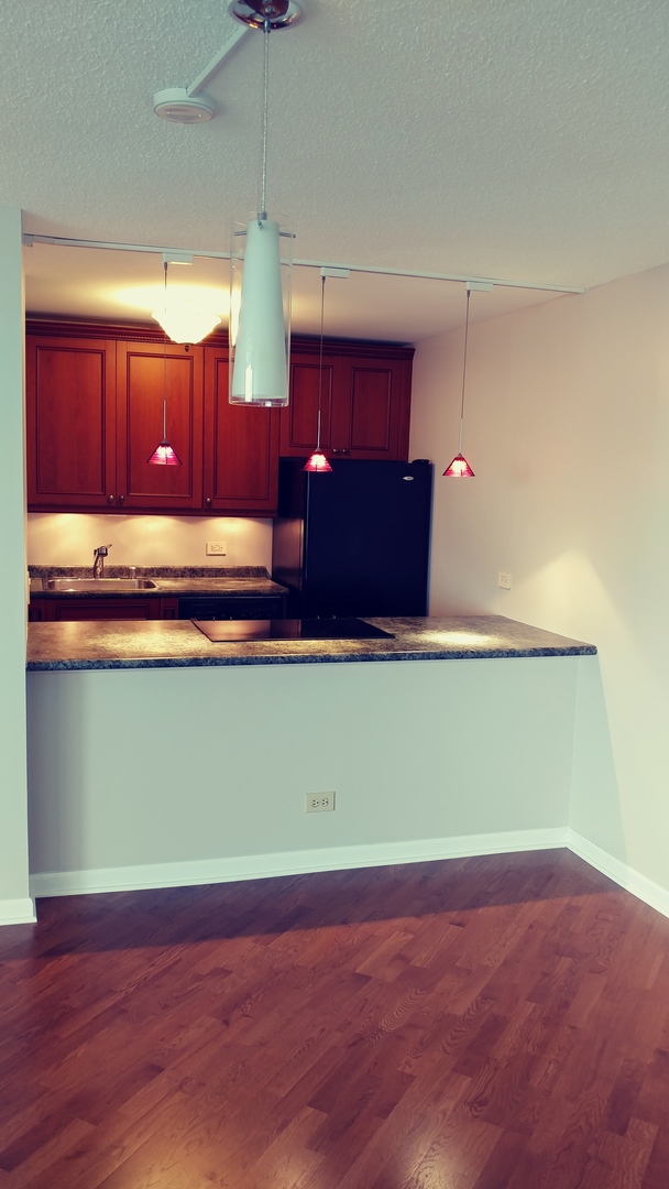 5320 North Sheridan Road, Unit 1207 Chicago, IL 60640 - Photo 6 of 20 a kitchen with wooden floors and a sink