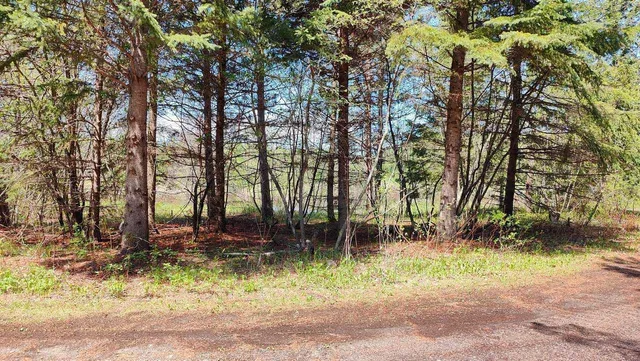 $109,500 | 80086 Gruban Circle, Tower, MN 55790