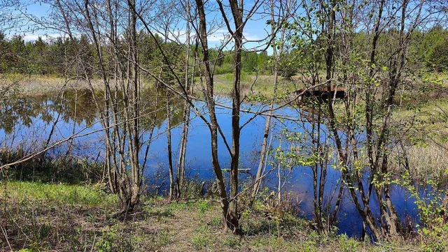 $109,500 | 80086 Gruban Circle, Tower, MN 55790