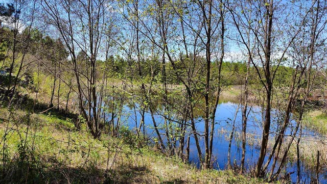 $109,500 | 80086 Gruban Circle, Tower, MN 55790