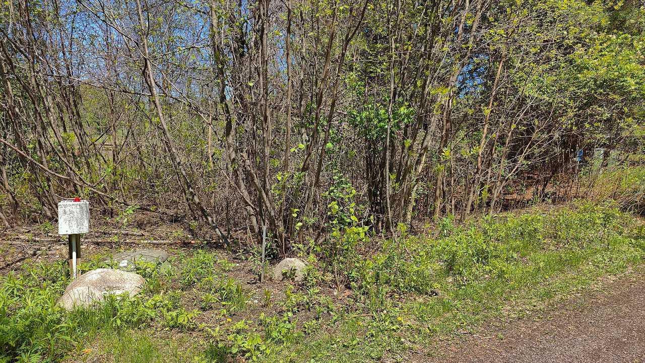 80086 Gruban Circle Tower, MN 55790 - Photo 17 of 51