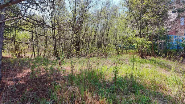 $109,500 | 80086 Gruban Circle, Tower, MN 55790